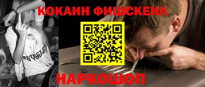 гашик Гатчина