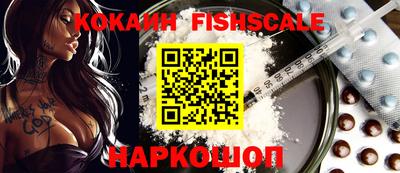 гашик Гатчина