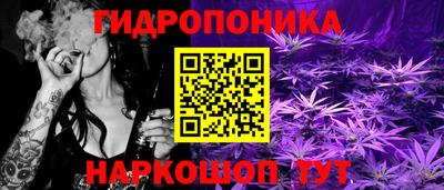 ALPHA PVP Гай