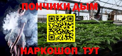 гашик Гатчина