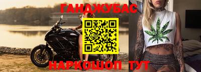 гашик Гатчина